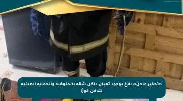 «تحذير عاجل» بلاغ بوجود ثعبان داخل شقة بالمنوفية والحماية المدنية تتدخل فورًا